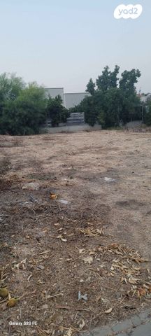 מגרשים, יד חנה