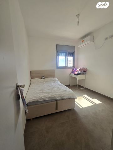 דירה, האנפה, החותרים, טירת כרמל