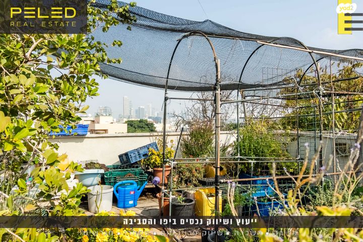 דירה, דרור, צפון יפו, המושבה האמריקאית-גרמנית, תל אביב יפו