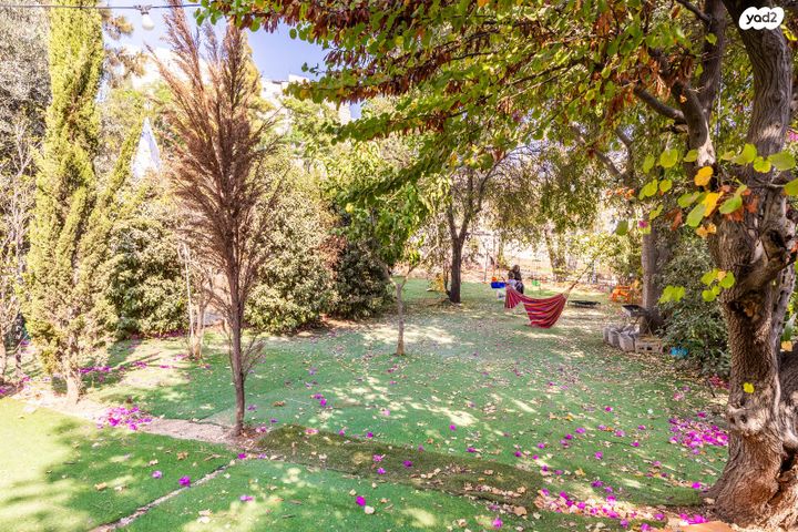 דירה, עולי הגרדום 1, ארמון הנציב, תלפיות מזרח, ירושלים