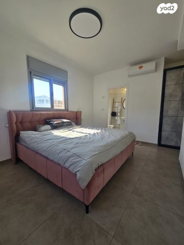 דירה, האנפה, החותרים, טירת כרמל