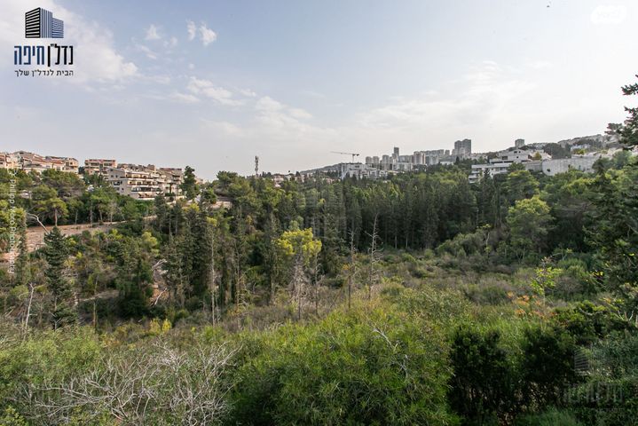 דירה, משה גוט לוין, רמת ספיר, חיפה