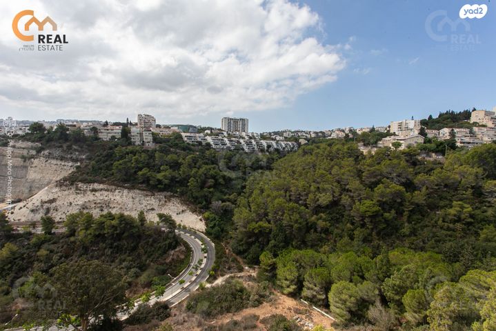 דירה, ליאון בלום, רמת הדר, חיפה