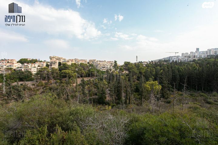 דירה, משה גוט לוין, רמת ספיר, חיפה