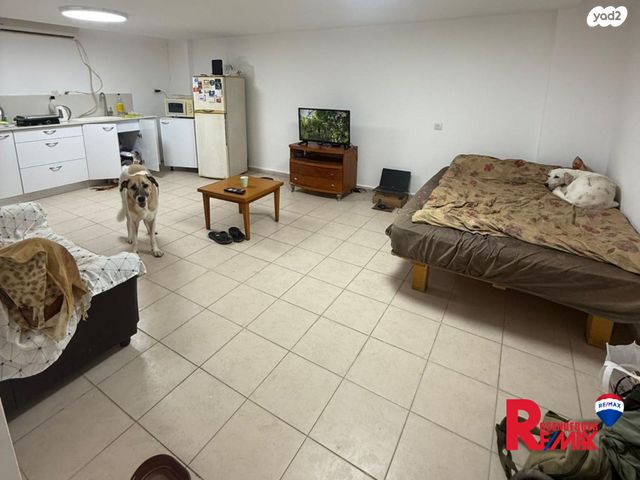 ארלוזורוב 156