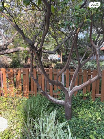 דירת גן, נאות שקמה, ראשון לציון