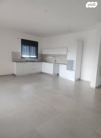 ראול ולנברג 33