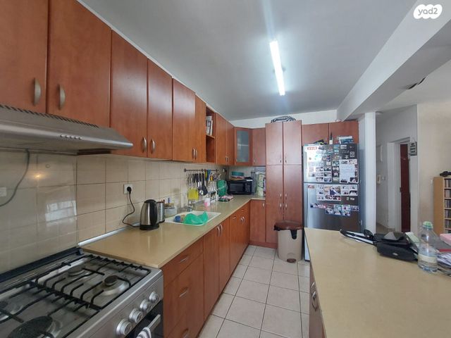 גג/ פנטהאוז, תלמים, גני אביב, לוד