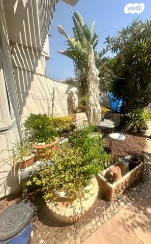 דו משפחתי, צוותא ב, אלפי מנשה