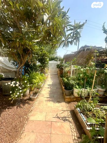 דו משפחתי, צוותא ב, אלפי מנשה