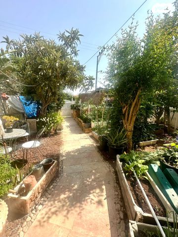 דו משפחתי, צוותא ב, אלפי מנשה