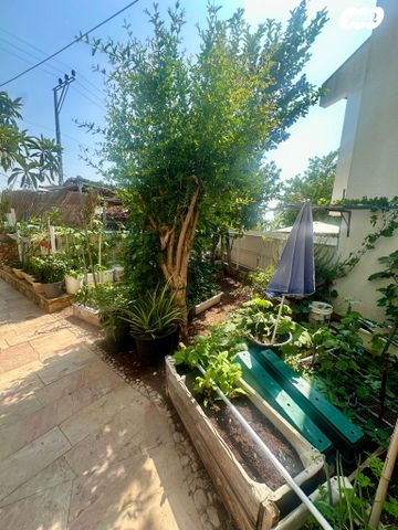 דו משפחתי, צוותא ב, אלפי מנשה