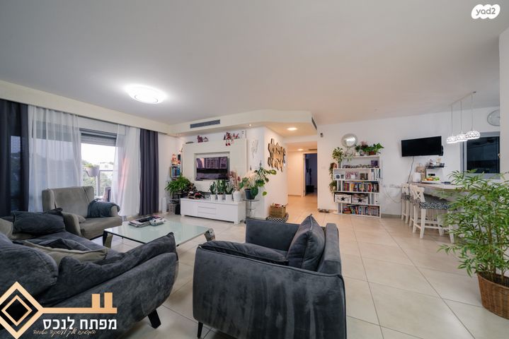 דירה, כלנית, נתיבות