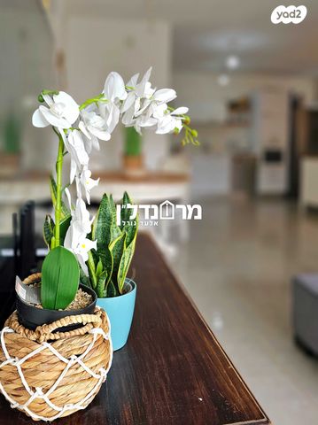 דירה, לוין שמעון זאב, מרכז, הרצליה