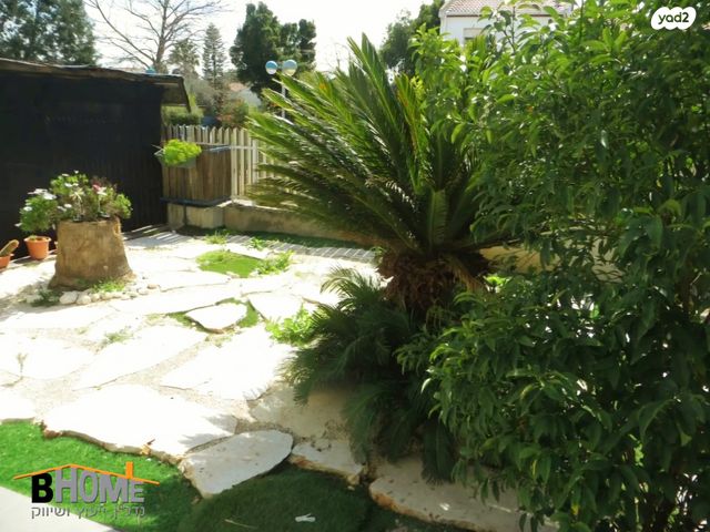 דו משפחתי, קדימה צורן