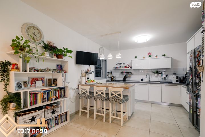 דירה, כלנית, נתיבות