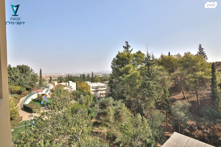 דירה, המעפילים, גבעת נשר, נשר