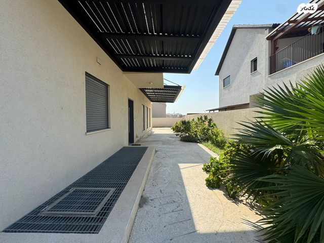 חורשת האקליפטוס 