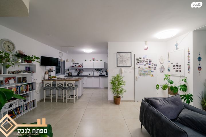 דירה, כלנית, נתיבות