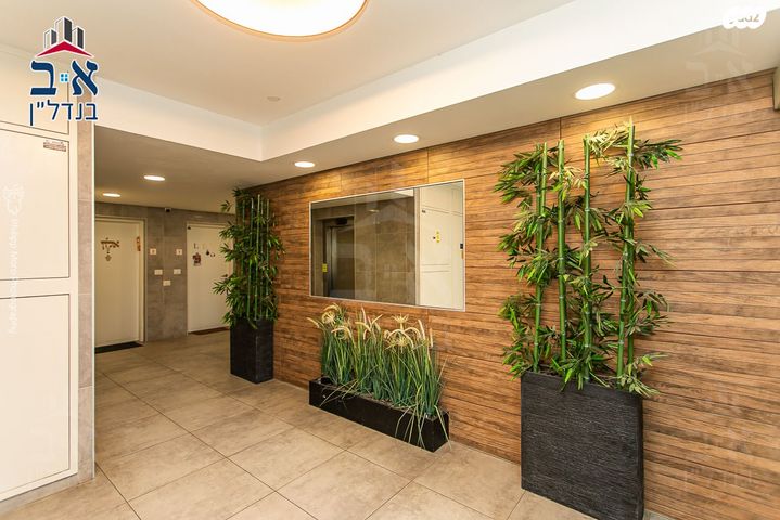 דירה, היסעור, החותרים, טירת כרמל