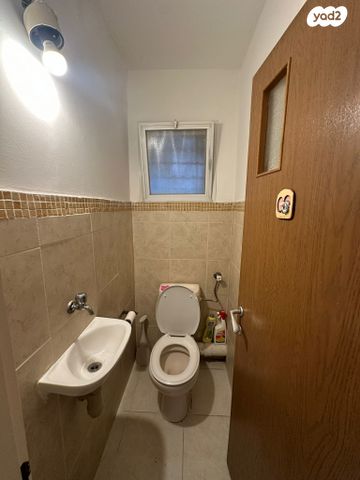 דירה, השיקמה, נשר