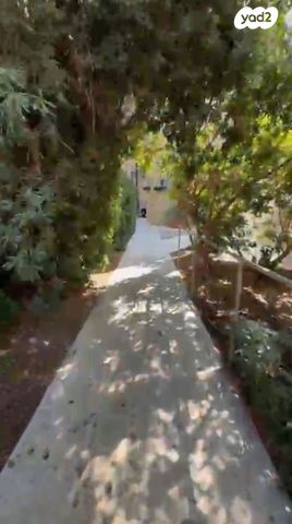 דירה, הפורצים, קטמון הישנה, ירושלים