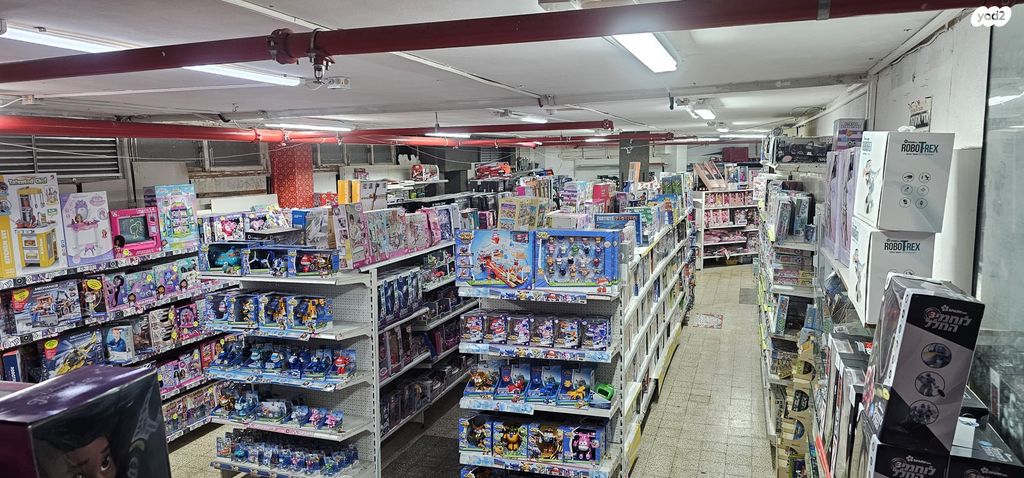 שמואל הנציב 