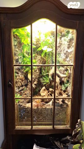 תמונת מודעה - חיות מחמד