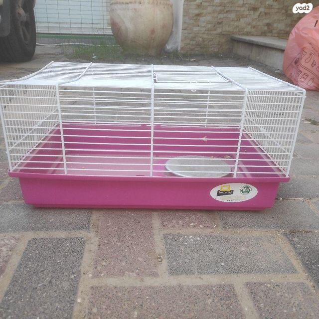 תמונת מודעה - חיות מחמד