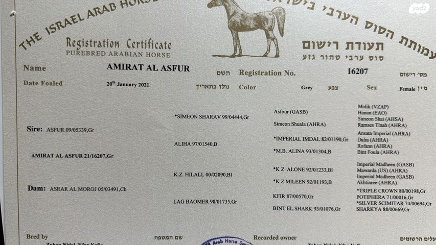 תמונת מודעה - חיות מחמד