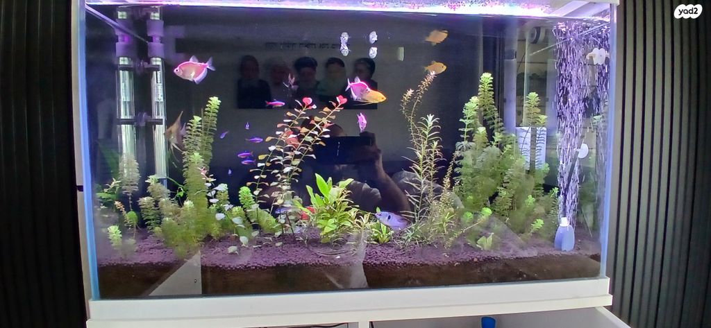 תמונת מודעה - חיות מחמד