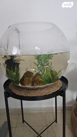 תמונת מודעה - חיות מחמד