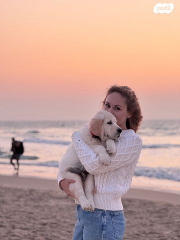 תמונת מודעה - חיות מחמד