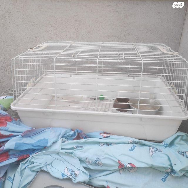 תמונת מודעה - חיות מחמד