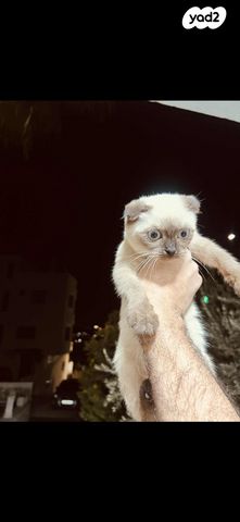 תמונת מודעה - חיות מחמד