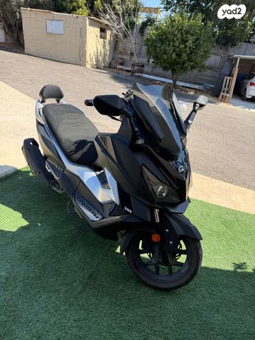 סאן יאנג קרוזים 300