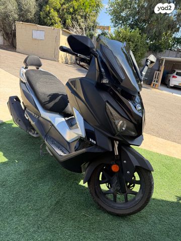 סאן יאנג קרוזים 300