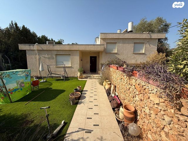 פריחת השקד 76