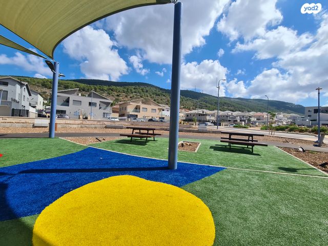 מגרשים, עץ השדה 42, אדמית / יערית, שלומי