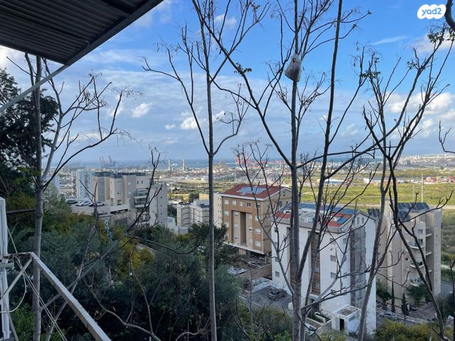 דירה, התשעה 23, נווה יוסף, חיפה