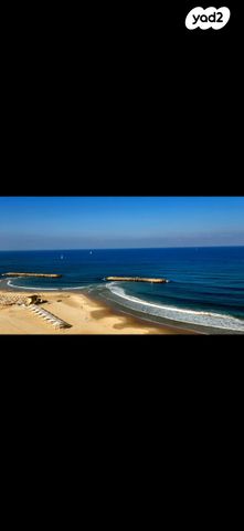 אלי לנדאו 60