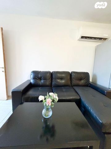 דן פטנקין 25