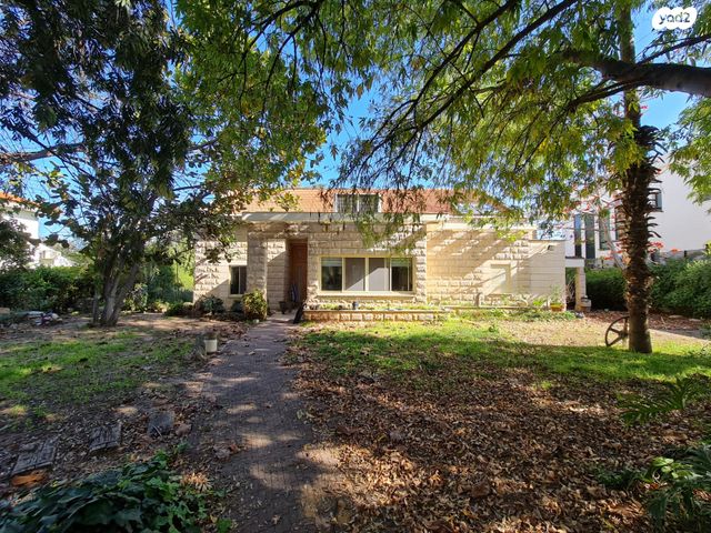 דוד וולפסון 29