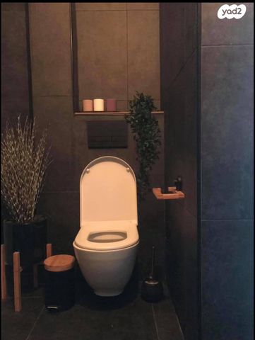 דירה, רמב"ם 42, כוכב הצפון, אשקלון