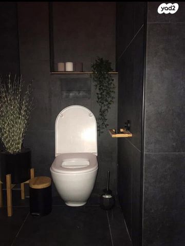 דירה, רמב"ם 42, כוכב הצפון, אשקלון