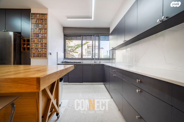 דירה, חיים צבי גרינשטיין 13, קרול, פתח תקווה