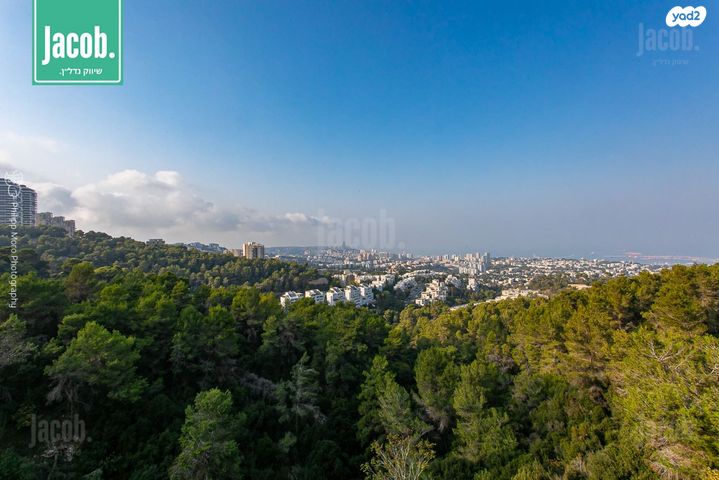 סביוני הכרמל