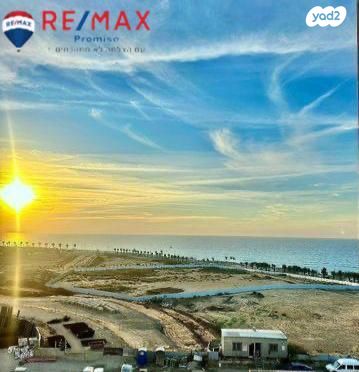 עיר ימים / הבלוט