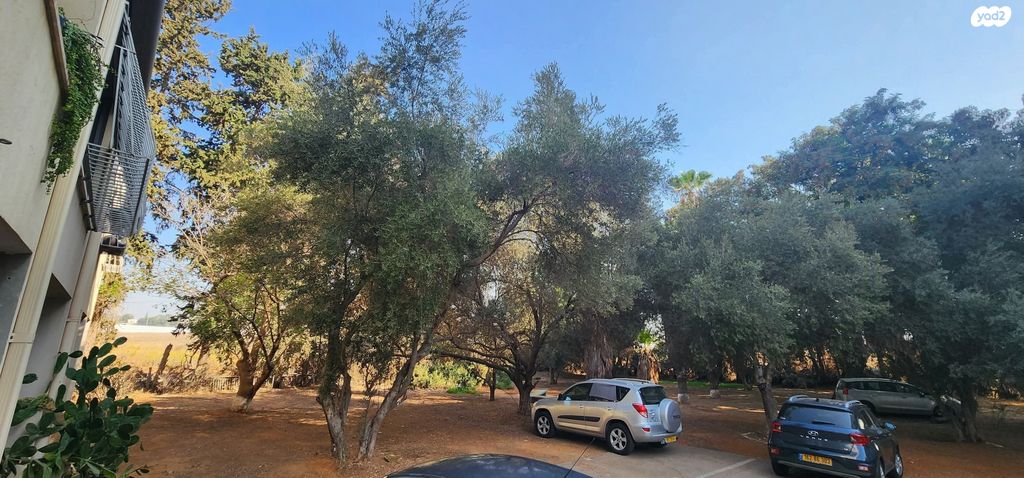 אריה סוסליק 