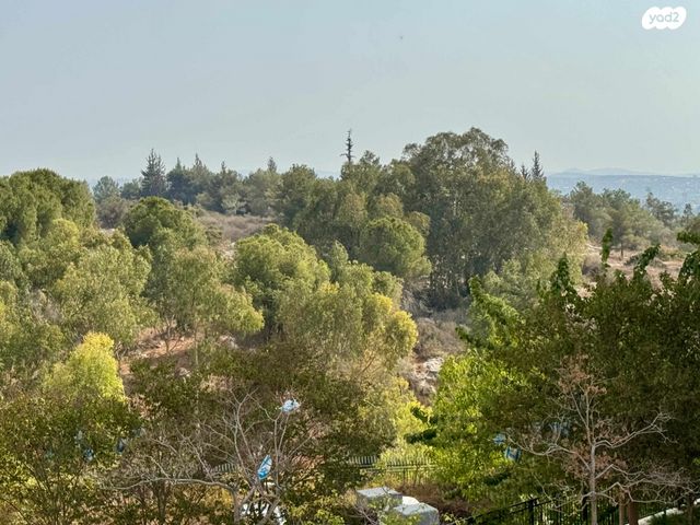 נחל אלכסנדר 